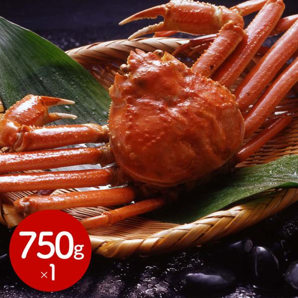 ボイルずわいがに姿 750gx1杯 SISK 7,344円