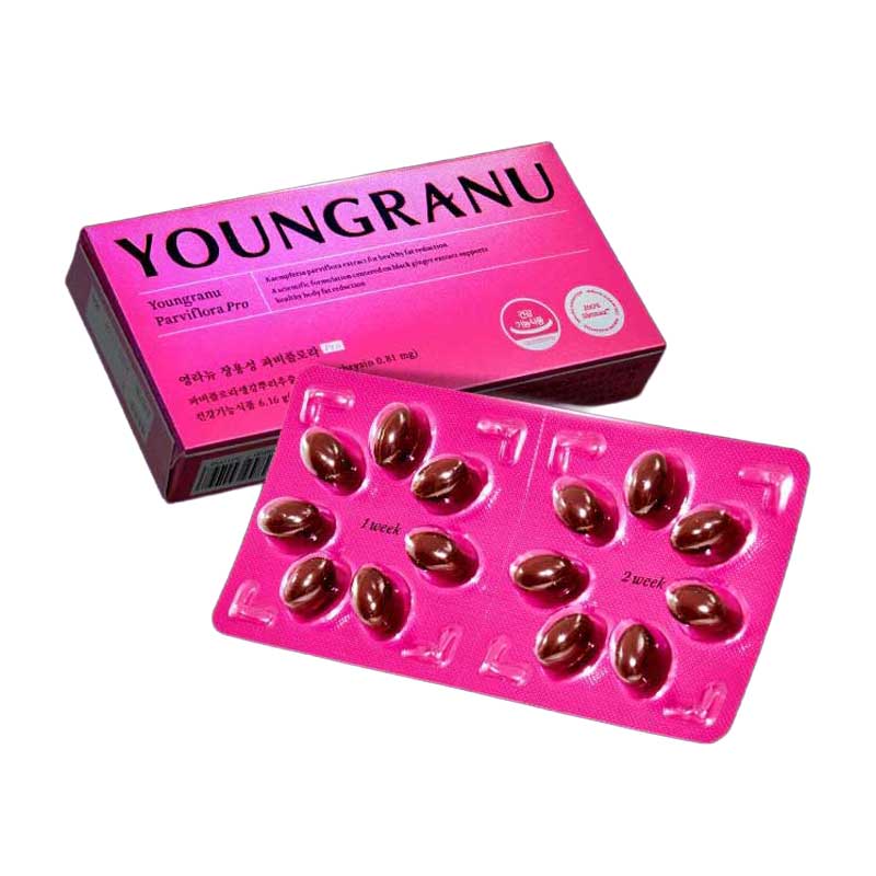 [チャン·ヨンランダイエット]腸溶性ファビ フローラ 体脂肪減少 14回分 1セット 韓国食品 ダイエット ファビフローラ 体脂肪減少 管理 維持 アタ ショウガ根 サプリメント 5,045円