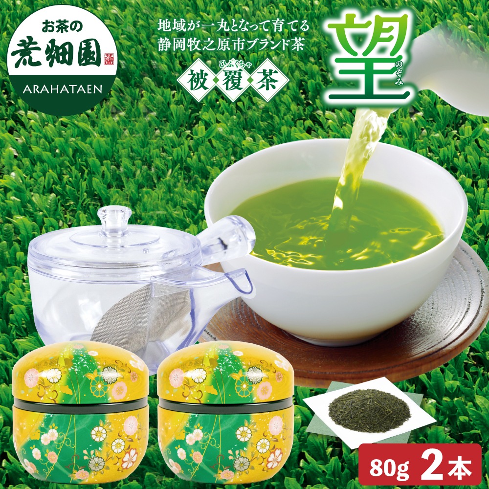 望 金印 割れない急須箱入り 茶葉 お茶 お茶の葉 緑茶 深蒸し茶 静岡茶