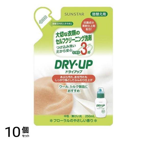 ドライアップ セルフクリーニング洗剤 250mL (詰め替え用) 10個セット