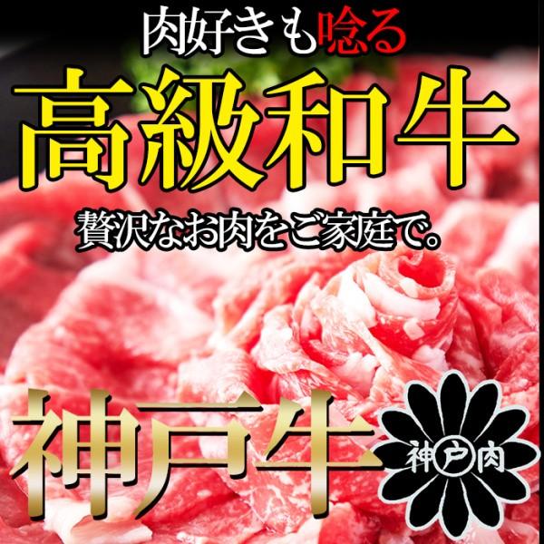 神戸牛 切り落とし500g A4等級以上 無選別 霜降りブランド牛 国産和牛 牛肉 冷凍 約500g 250gx2パック