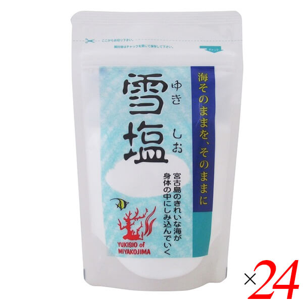 雪塩 パウダータイプ 120g 24個セット