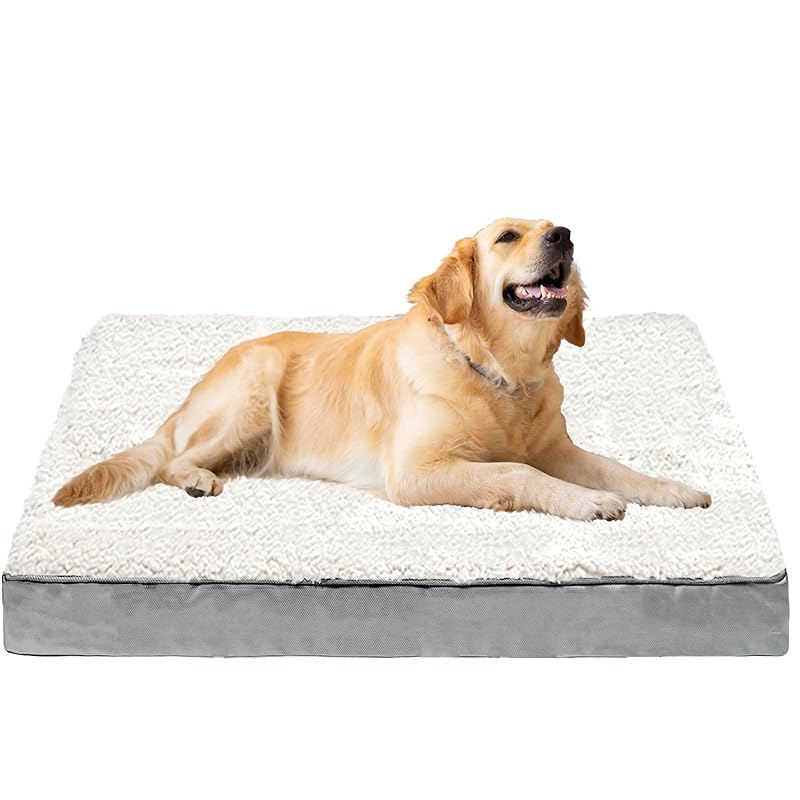 VERTUPET 犬 ベッド ペットベッド 75*50*8cm 高反発マットレス 足腰関節にやさしい 高齢犬介護 子犬 猫 多頭飼い 洗える 取り外せるカバー 滑り止め 中型犬 小型犬 通年使える(