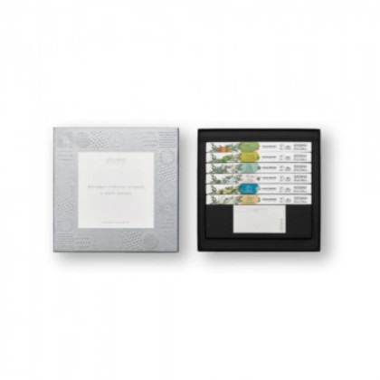 日本香堂 ESTEBAN(エステバン) インテリアガーデン ナチュール バトネ＆香皿コフレ 5000 52493