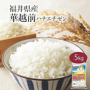 米 福井県産 華越前 ハナエチゼン 5kg 令和6年産 お米 こめ 5キロ 安い おこめ 白米 国産 食品 ギフト 引っ越し 挨拶 内祝い お歳暮 送料無料 おくさま印 新米