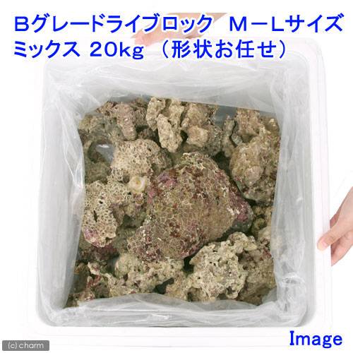 （海水魚）Ｂグレードライブロック　Ｍ－Ｌサイズミックス（２０ｋｇ）（形状お任せ）　北海道・九州航空便要保温　ＣＲＣ26―55―20―40―00