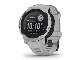 Instinct 2 Dual Power 010-02627-41 [Mist Gray]