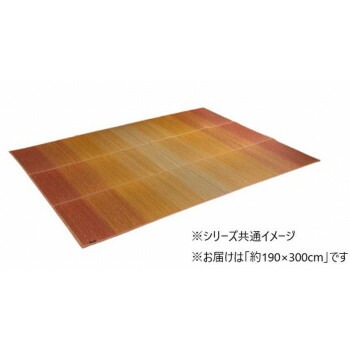 カーペット 日本製 KOBA-GUARD 抗菌防臭 約190x300cm オレンジ 1070480205003