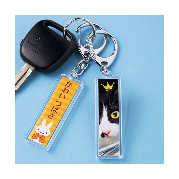 (まとめ)サンワサプライ 手作りキーホルダーキット(スティック型) JP-ST15(×5セット) 6,244円