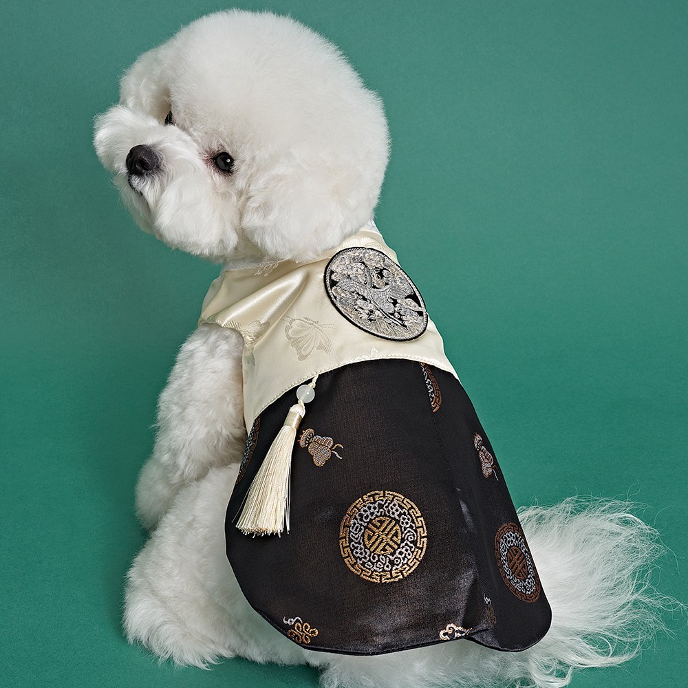 ドッグアイ子犬残り金貨団韓服