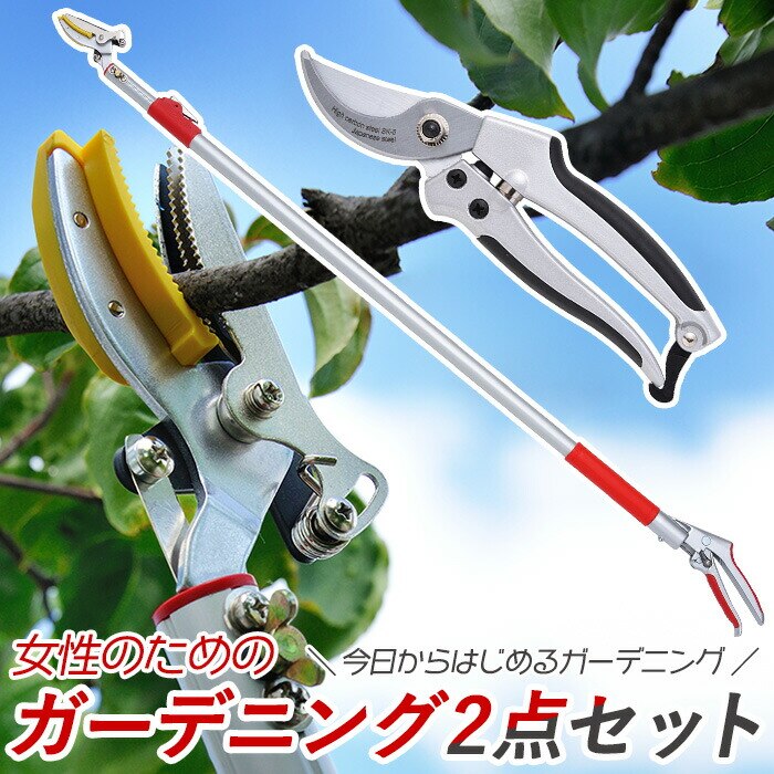 レディース園芸2点セット 3段伸縮式高枝切鋏 剪定鋏 中 高枝切りバサミ 伸縮 超軽量 はさみ 剪定