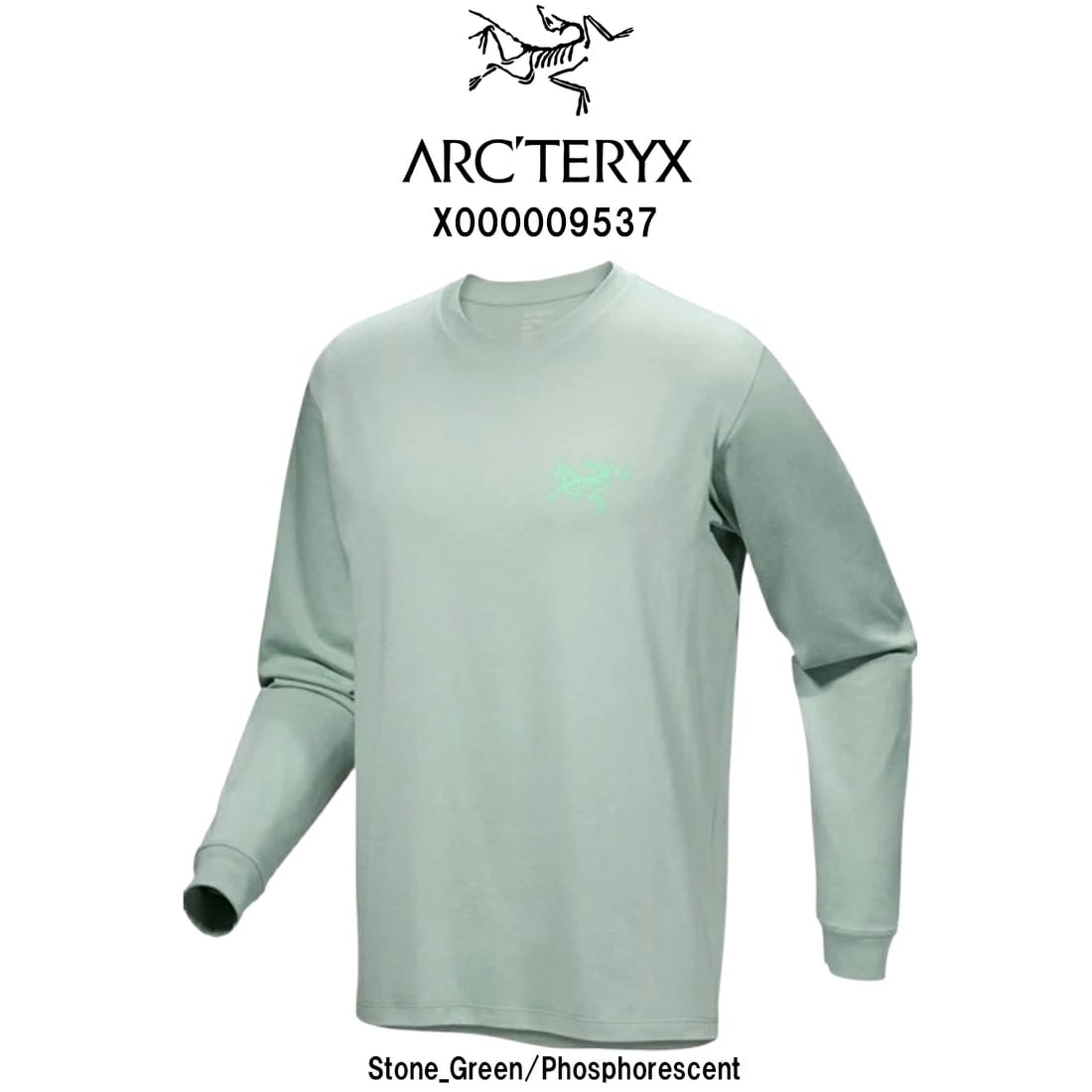 ARC TERYX Tシャツ 長袖 クラッグ SL コットン バード タイル レギュラーフィット ロングスリーブ メンズ 男性 X000009537