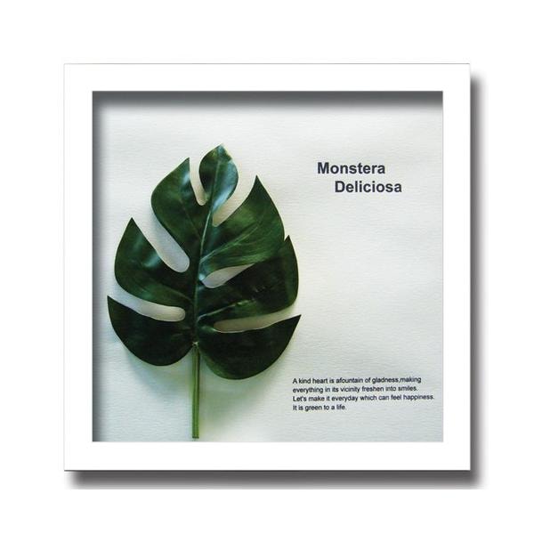 アートフレーム リーフパネル グリーン おしゃれ ウォールデコレーション ナチュラル 壁掛け 飾り 観葉植物 モンステラ 325x325mm
