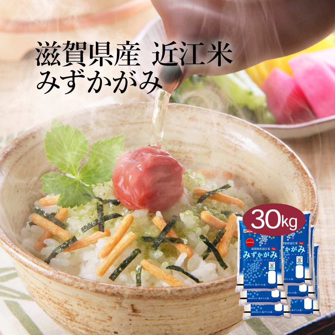 米 精米 滋賀県産 近江米 みずかがみ 30kg 5kg 6セット 令和7年産 お米 こめ 30キロ 安い おこめ 白米 国産 食品 ギフト 引っ越し 内祝い お歳暮 送料無料 おくさま印