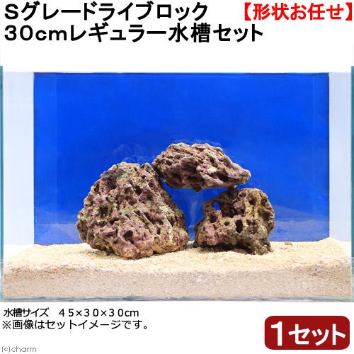 （海水魚）Ｓグレードライブロック　３０ｃｍキューブ水槽用（１セット）（形状お任せ）　北海道・九州航空便要保温　ＣＲＣ26―55―20―20―00