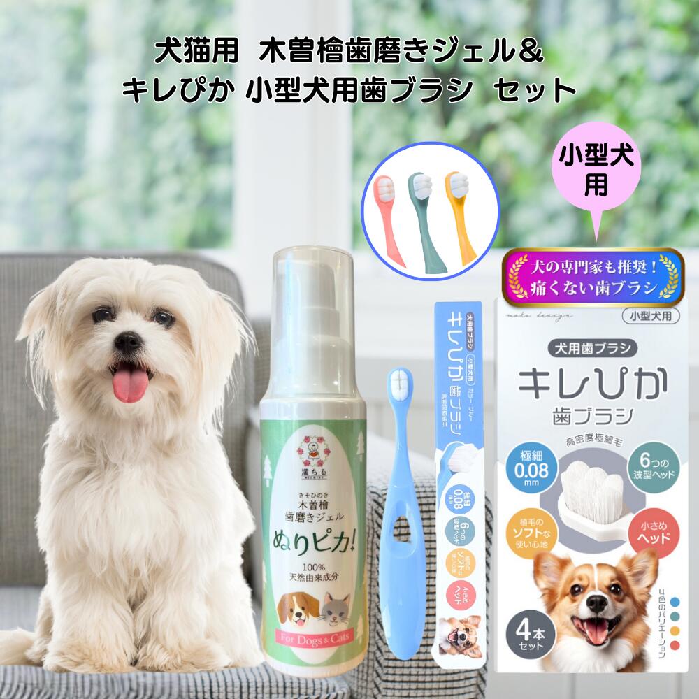 犬 歯みがき デンタルケアセット 犬猫用 木曽檜歯磨きジェル ぬりピカ! 80g× 小型犬用歯ブラシ 4本セット キレぴか 歯磨きジェル＆歯ブラシセット 口腔ケア 国産天然由来成分100%
