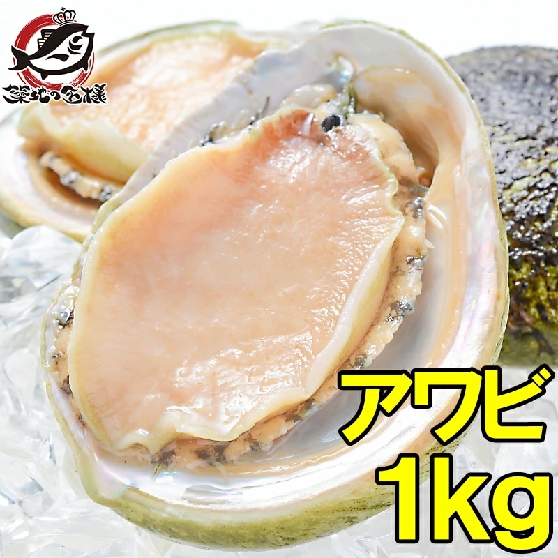 あわび Lサイズ 1kg 1箱12個入り 殻つきお刺身用アワビ 高級料亭でも使用する新鮮な殻付きあわび あわび アワビ 鮑 お造り バター焼き ステーキ おせち 翡翠の瞳 貝柱 築地市場