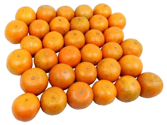 奄美大島/屋久島産 =たんかん= 訳あり 約5kg 大きさおまかせ 予約 2月以降