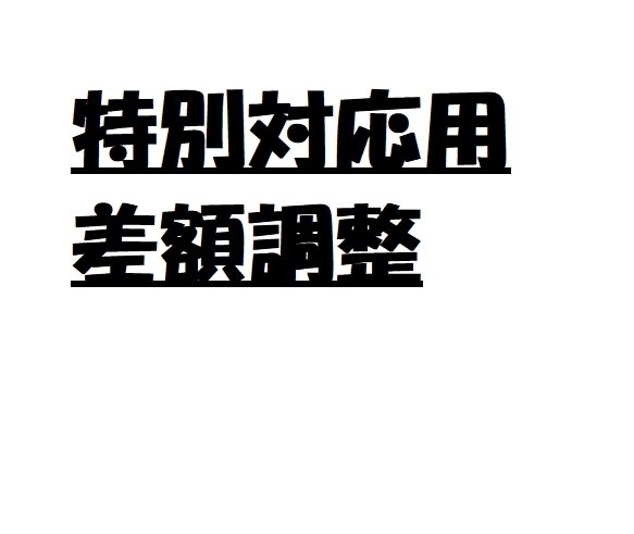 差額調整用