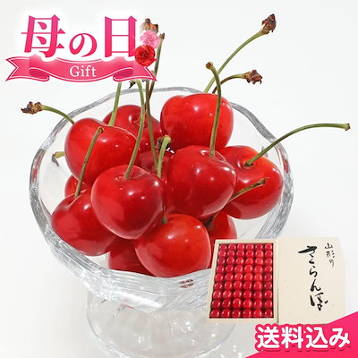 のほほん　さま専用　本日限り 20年使える棕櫚の手箒 - 山本勝之助商店