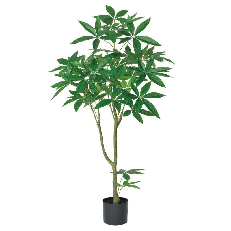 アスカ商会　フェイクグリーン パキラ グリーン　A-51036-051A