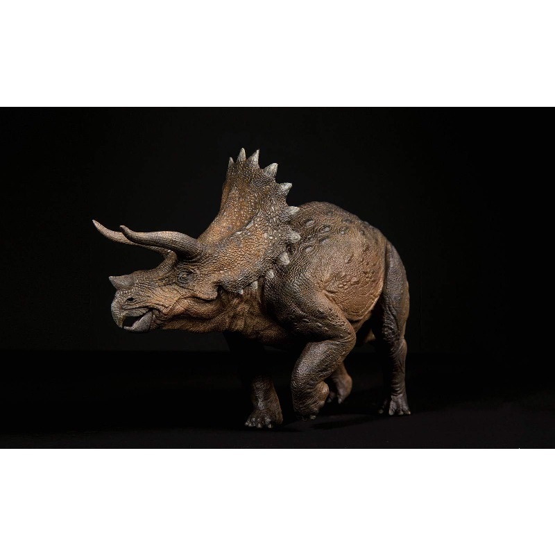 Nanmu 本心楠改 1/35 サイズ トリケラトプス Triceratops 恐竜 植物食 リアル フィギュア PVC プラモデル おもちゃ 模型 プレゼント プレミアム 29cm級 オリジナル 塗
