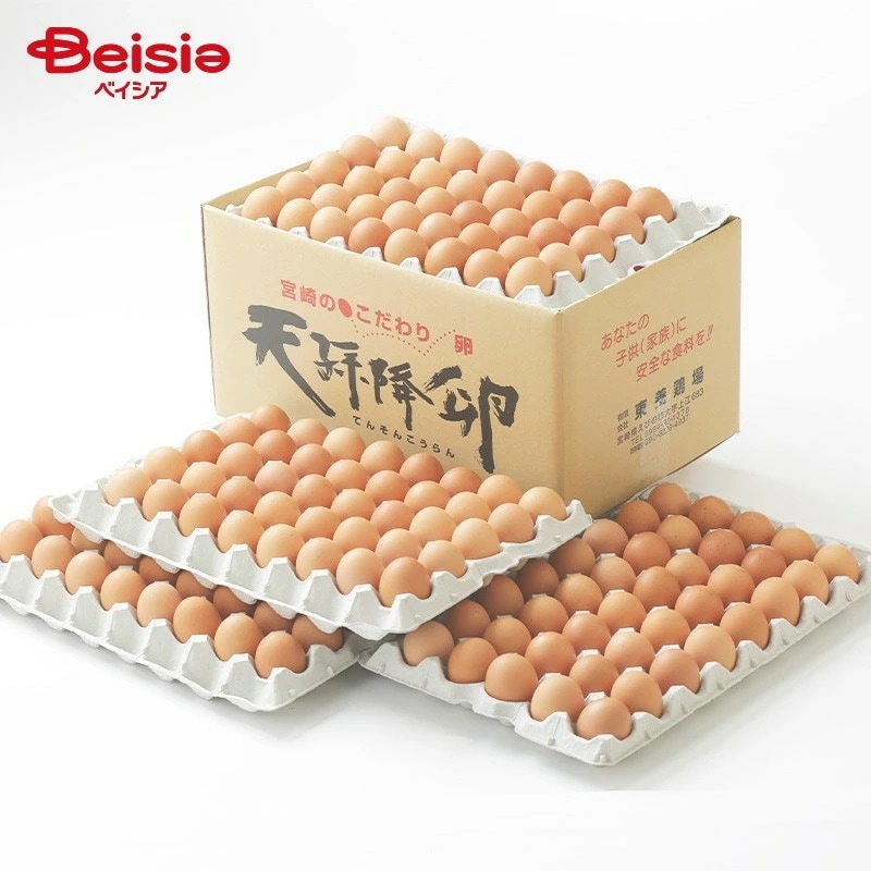 東養鶏場 天孫降卵 約10kg(L) 業務用 東養鶏場 卵 ギフト 産地直送 プレゼント 高級贈答用 卵かけご飯 卵焼き 卵料理 美味しい卵 新鮮卵 栄養満点 こだわり卵 卵ギフト