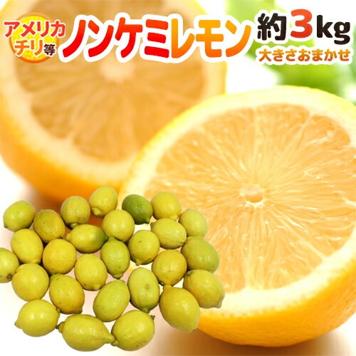 チリ/アメリカ産など =ノンケミレモン= 大きさおまかせ 約5kg 予約 入荷次第発送