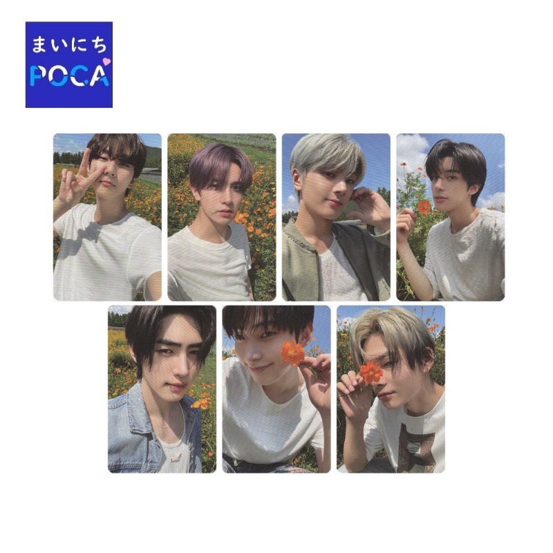 ENHYPEN - Orange Blood / KPOPMERCH / POB / 特典のみ購入 / ONLY特典 / 7種セット