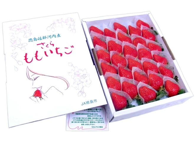 お届け日指定可能 徳島県 =佐那河内産 さくらももいちご= 28粒入り 化粧箱
