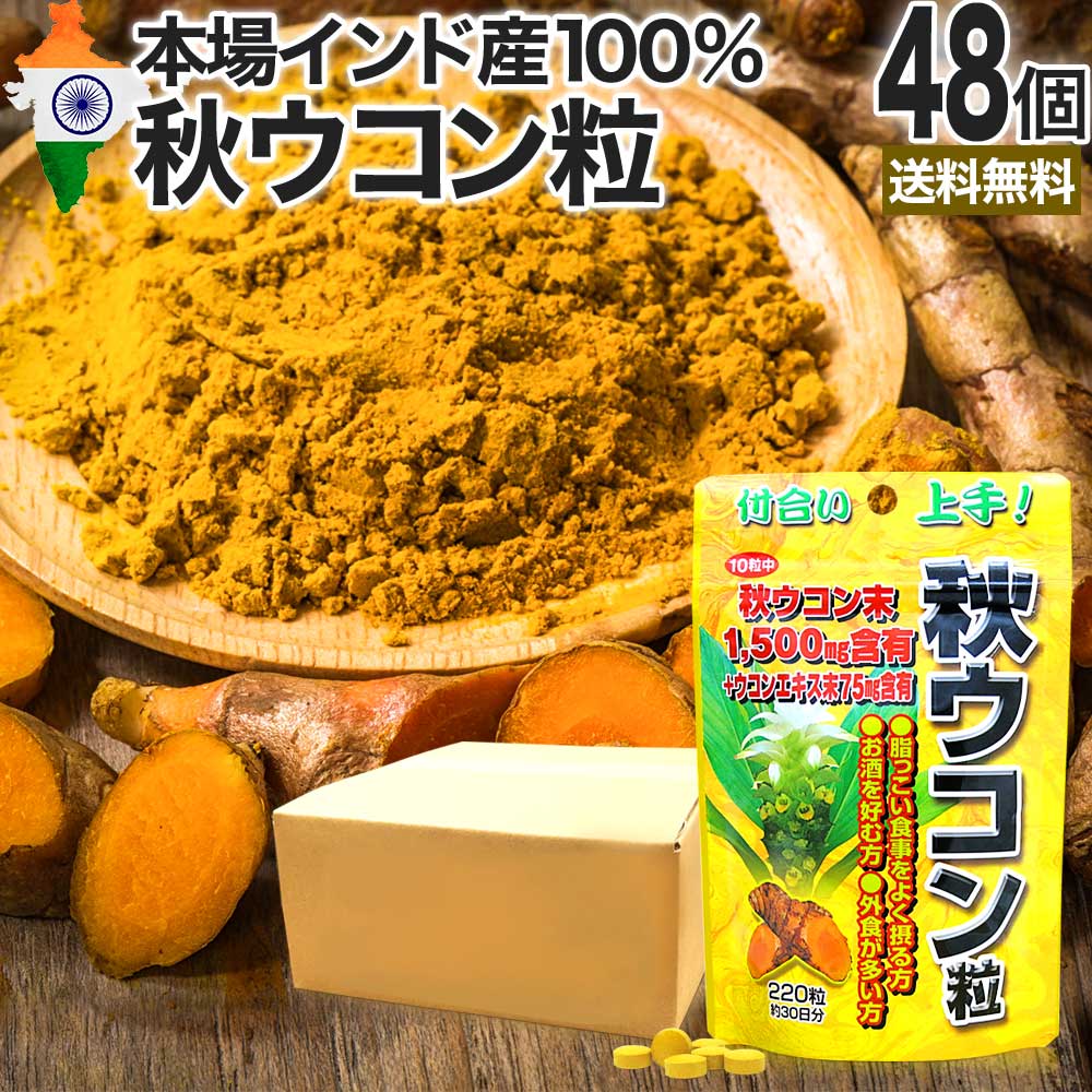 秋ウコン粒 220粒*48個 約1056-1440日分 ウコンサプリ ウコンサプリメント サプリメント サプリ