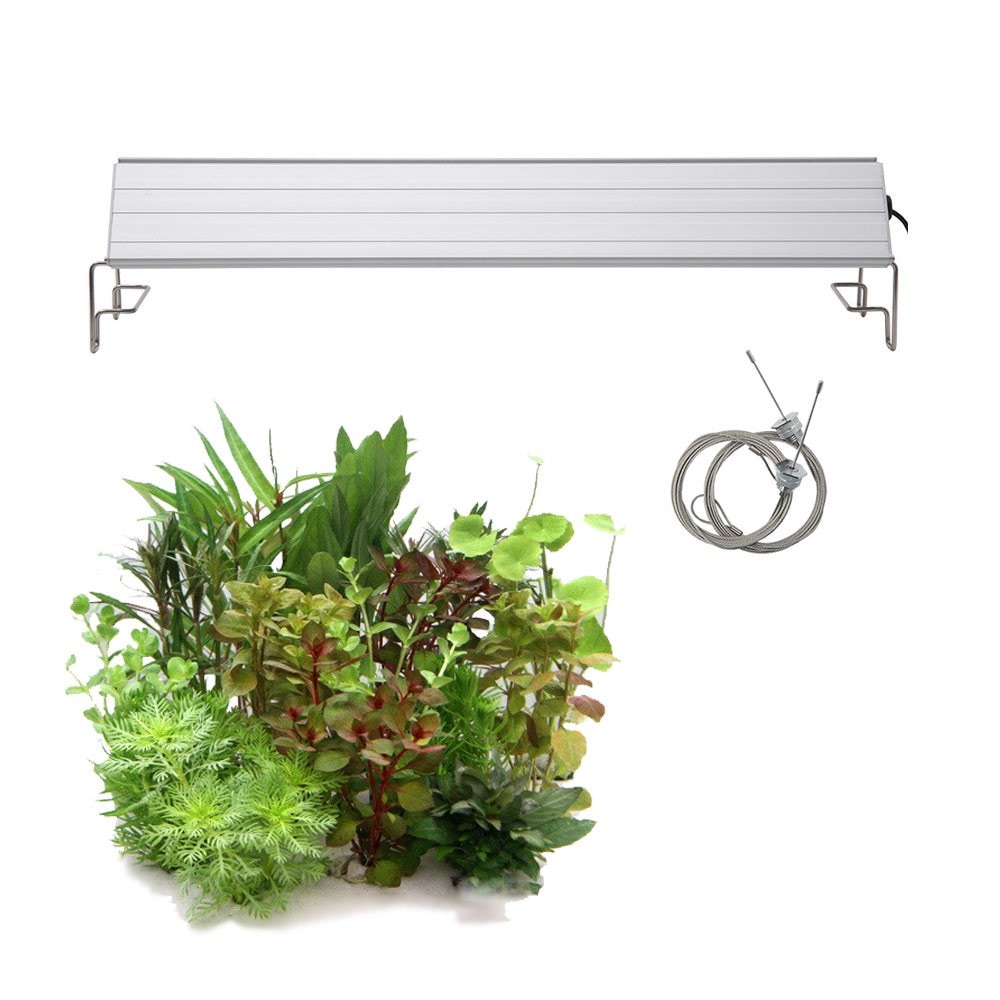 （水草）おまかせ水上葉ミニポット　１０ポットセット（無農薬）＋アクロＬＥＤ　ＧＲＯＷ４５０　４５ｃｍ水槽用　本州四国限定　ＣＲＣ10―15―10―30―40