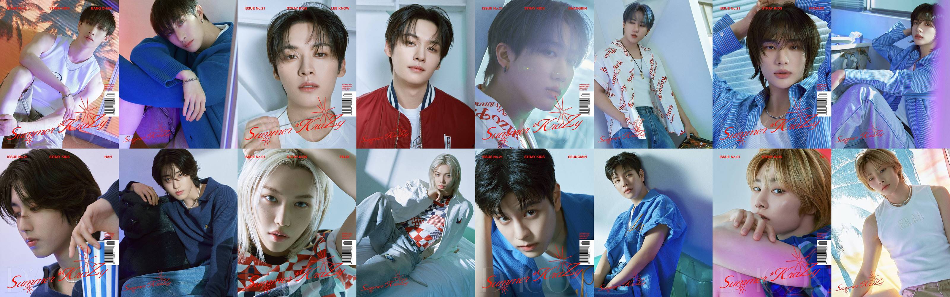 DICON VOLUME N21 STRAY KIDS : A-Summer KraZy, B-SECRET KIDZ 4,734円