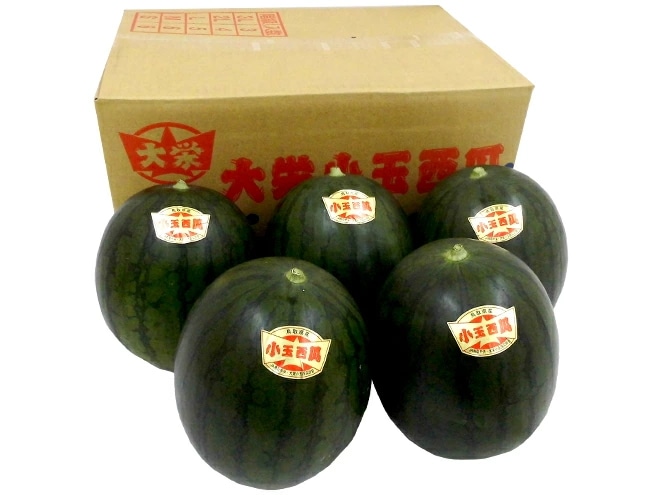 鳥取県 =大栄黒小玉スイカ= 秀品 3-6玉 約10kg すいか 予約 9月以降