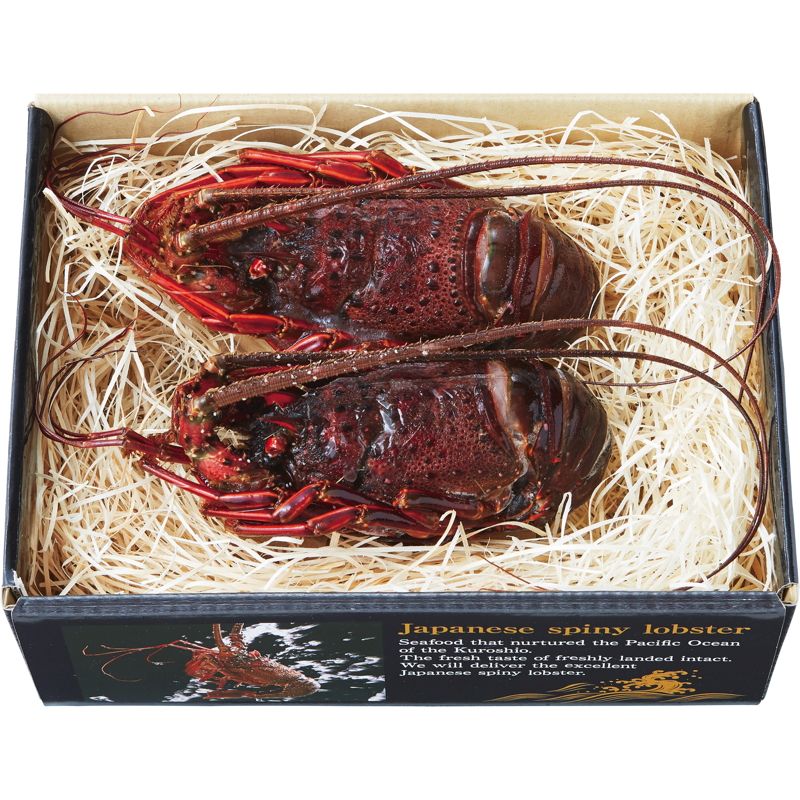 （グルメギフト）神の国伊勢志摩発凍眠セレクション 凍眠伊勢海老 2尾セット