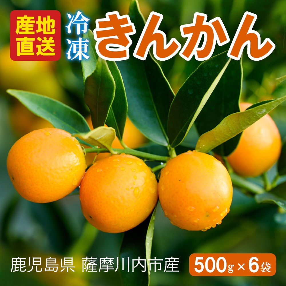 鹿児島県産 冷凍 金柑 500g入り 6袋 種取り きんかん シャーベット フローズン フルーツ 種なし 皮ごと 氷結 栄養 果物 キンカン 鹿児島 さつま ギフト お中元