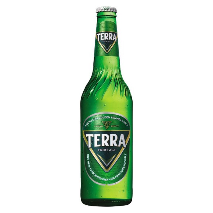 【本物新品保証】 JINRO テラビール(瓶)　500ml 輸入ビール