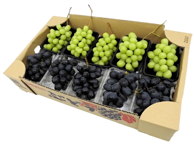 =シャインマスカット＆ナガノパープル= 約350g×5＋約350g×5 合計10pc 約3.5kg 産地厳選 食べ比べ 予約 9月以降