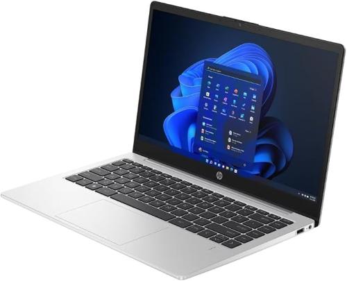 HP 245 G10 Notebook PC AH0W0PA#ABJ