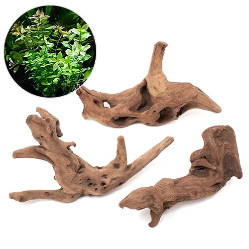 （水草）レイアウト素材水草セットＶｅｒ．上質流木　雅ーみやびー　（ライフマルチ（茶）　おまかせ有茎草５種）（１セット）　ＣＲＣ12―23―30―00―00