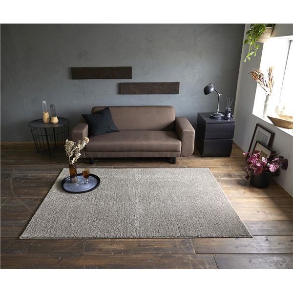 スミノエ 洗える ラグ ソル 約幅130x長さ190cm ブラウン 日本製