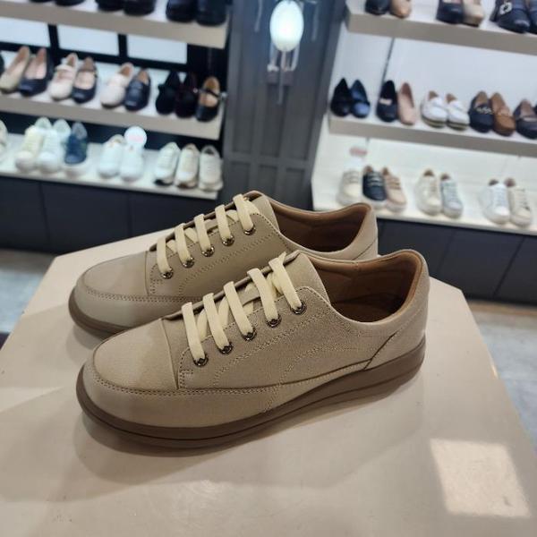 HC10 ヨークッション軽量デイリーコンフォート LCWC05U61339 (44275350)