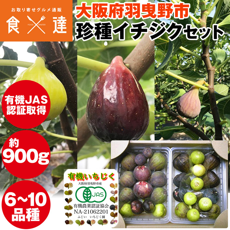 いちじく 900g 有機JAS認証取得 珍種イチジク 6-10種入り 大阪府産 イチジク 無花果 羽曳野市 冷蔵便 同梱不可 指定日不可