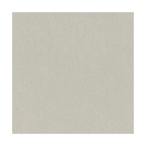 （まとめ）リンテック ニューカラーR 八つ切 あかるいはいいろ 8NCR-113 1パック(100枚)(×3セット)