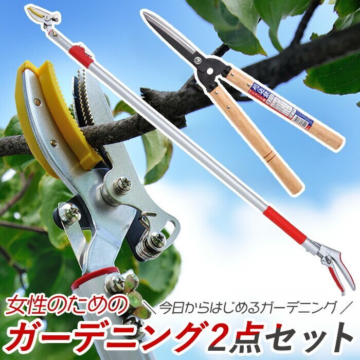 レディース園芸2点セット 3段伸縮式高枝切鋏 ショート刈込鋏 刈り込みばさみ 刈込みばさみ 高枝切り