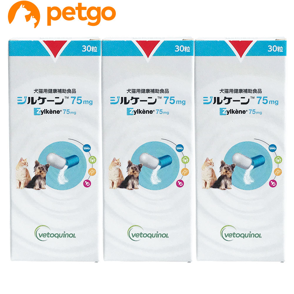 【3個セット】ジルケーン 75mg