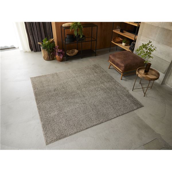 スミノエ 洗える ラグ ソル 約幅190x長さ190cm ブラウン 日本製