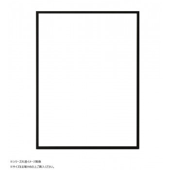 大額 OA額 ラインフレーム（5017） A3 ブラック