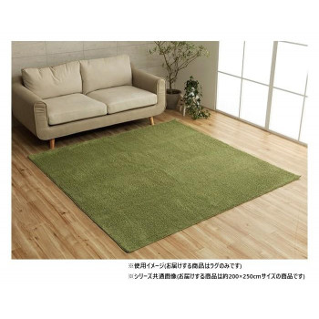 ミックスパイル ラグ 約3畳 約200x250cm ホットカーペット対応 グリーン 3985479