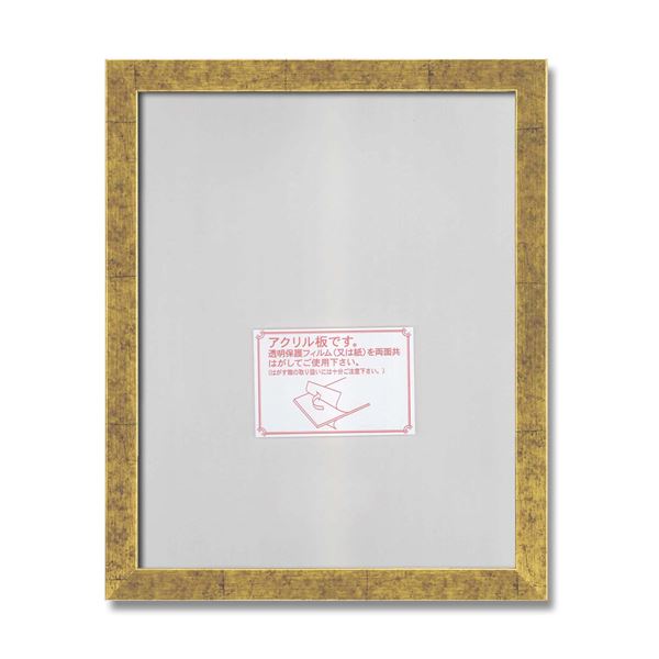 ポスター デッサン 水彩画 絵画 画用紙 UVカットアクリル デッサン額 569B 小全紙（660x509mm） 金柄紋